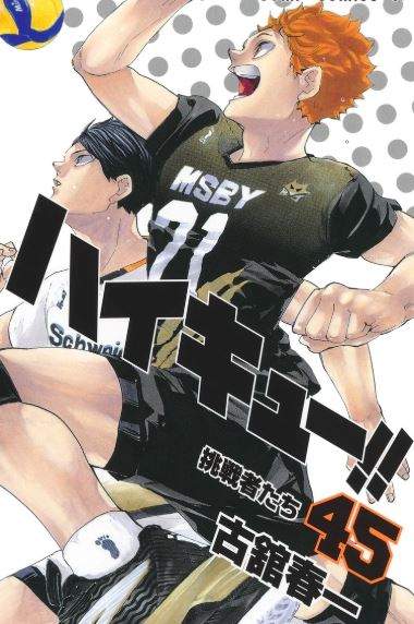 Haikyuu!! Challengers Volume 45